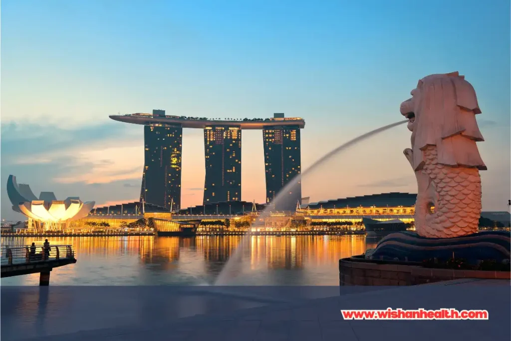 berobat ke singapura