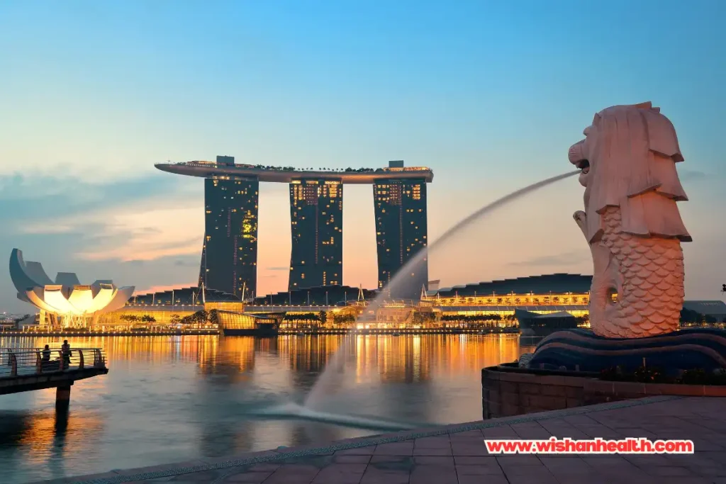 berobat ke singapura